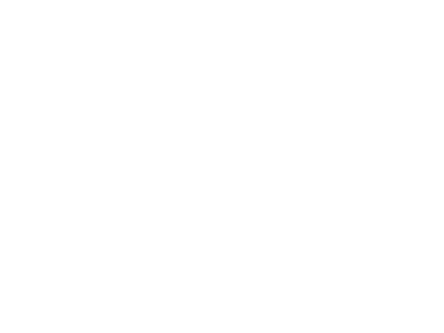 Anthropic