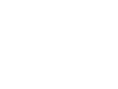 xAI